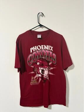 Vintage True Fan Phoenix Coyotes NHL tee shirt - Mens size large
